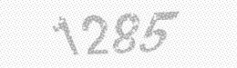 Visual security code — type the characters shown in the image