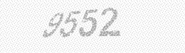 Visual security code — type the characters shown in the image